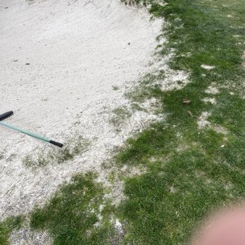 Pacific Grove Golf Links - More crappy maintenance - Golf Near Me - Pacific Grove, California Pacific Grove Golf Links - More crappy maintenance - Golf Near Me - Pacific Grove, California