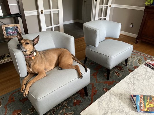 Yi's Upholstery Interiors & Fabrics