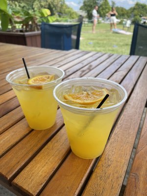 Adventures Unbound: Columbia Island Marina by null