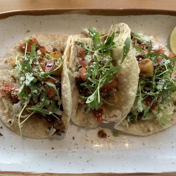 Paloma - Chorizo Tacos. - Mexican Near Me - Shaker Heights, Ohio Paloma - Chorizo Tacos. - Mexican Near Me - Shaker Heights, Ohio