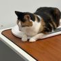 EVS Pet Urgent Care