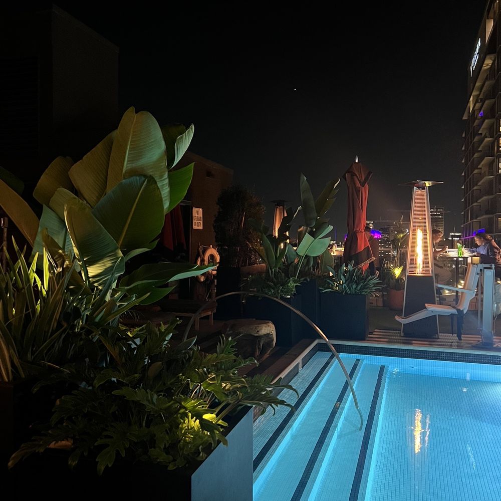 Videre - Pool surrounded by plants - Bars Near Me - Los Angeles, California Videre - Pool surrounded by plants - Bars Near Me - Los Angeles, California
