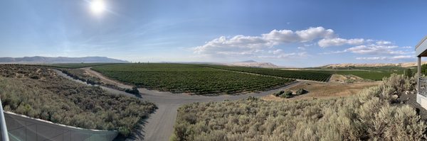 Kiona Vineyards and Winery by null