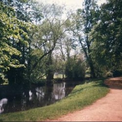 Christ Church Meadow