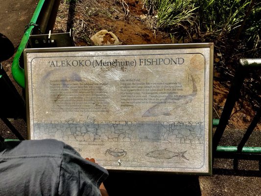 Menehune Fishpond by null