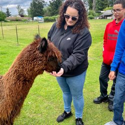 Firwood Farm Alpacas - Hand feeding