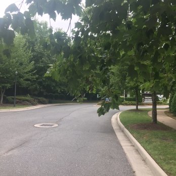 Hideaway at Greenbrier - overgrown trees (low branches) on entrance road - Apartments Near Me - Chesapeake, Virginia