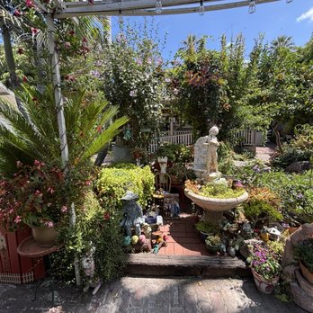 The Classic Cafe - Garden view at back entry - Coffee & Tea Near Me - Fullerton, California The Classic Cafe - Garden view at back entry - Coffee & Tea Near Me - Fullerton, California