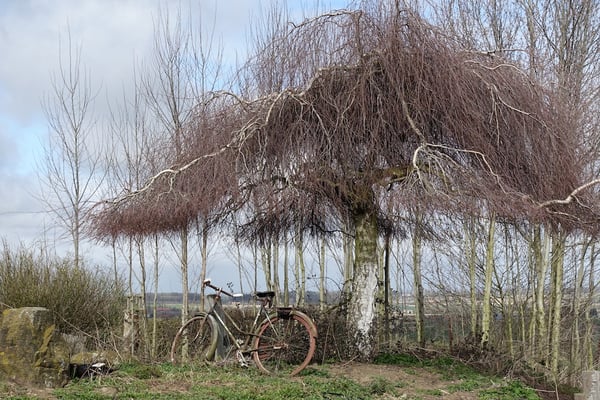 Auberge Du Vert Mont by null