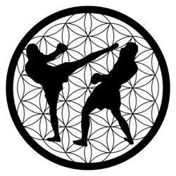 5 Rings MMA & Movement Academy