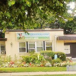 vca wellington animal hospital