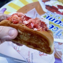 Cousins Maine lobster - Toasted Buttery Buns for the warm Connecticut Lobster Roll