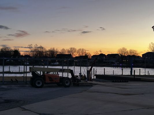 Carnival Crabs by null