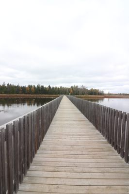 Island Lake Conservation Area by null