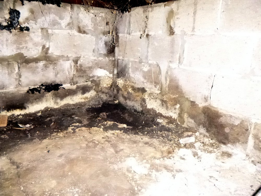 GOSHEN INSPECTION SERVICE Updated May 2024 18 Photos 325 Park St