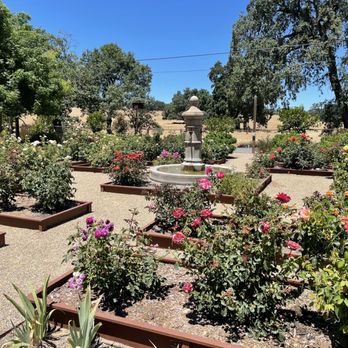 Bricoleur Vineyards - Rose Garden - Wineries Near Me - Windsor, California