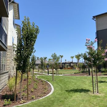 Adega - Walking the Adega green space - Apartments Near Me - Rohnert Park, California