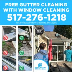 Blue View Window Cleaning