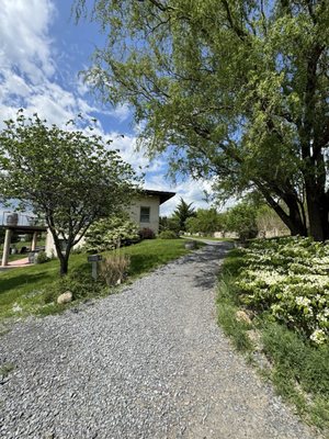 Damiani Wine Cellars by null