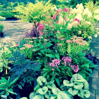 Baumschule Kasseburg - Nurseries & Gardening Near Me - Hamburg, HH
