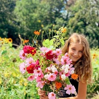 Thompson Farm - Beautiful wildflower bouquet from Thompson Farm in Bristol, WI. - Pumpkin Patches Near Me - Bristol, Wisconsin