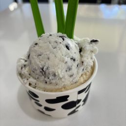 Salted Caramel Gelato