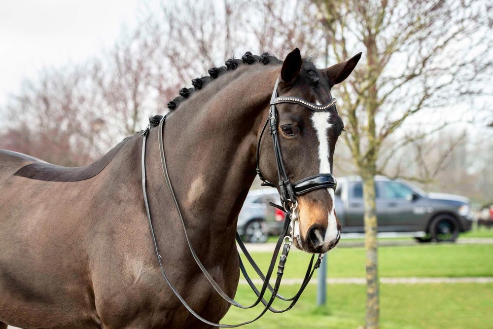 REDLAND OAKS RANCH Updated September 2024 18991 SW 248th St