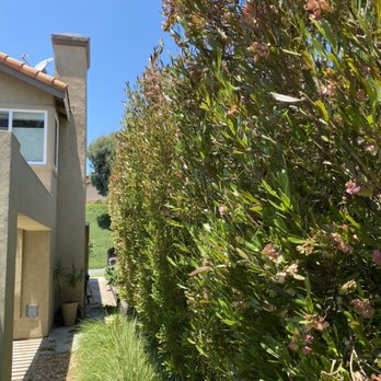Rosas Landscaping Company - Line it up. - Landscaping Near Me - Dana Point, California Rosas Landscaping Company - Line it up. - Landscaping Near Me - Dana Point, California