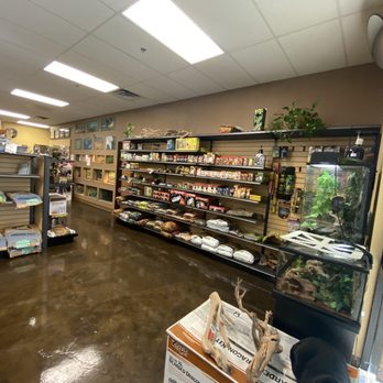 Pets to Go - Overview of reptile wall (peep store kitty in the corner) - Pet Stores Near Me - Elk Grove, California