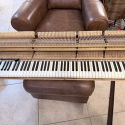 Quick pitch Piano - It came with a broken hammer shank and I was able to restore it.