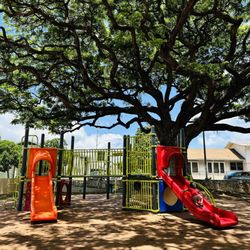 Paki Playground - Playground