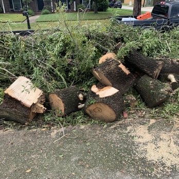 Rouses Tree & Landscaping Services - Tree Services Near Me - Metairie, Louisiana Rouses Tree & Landscaping Services - Tree Services Near Me - Metairie, Louisiana