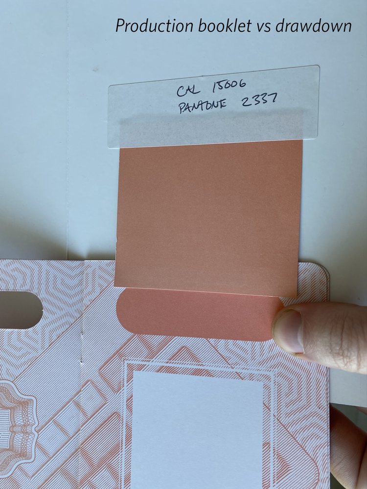 AMP PRINTING Updated October 2024 6955 Sierra Ct, Dublin