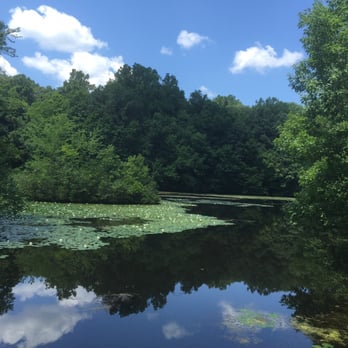 Greenwich Audubon Center - Community Service/Non-Profit Near Me - Greenwich, Connecticut