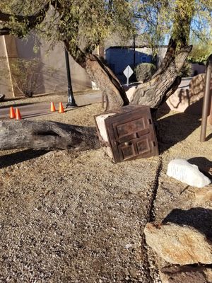 The Jail Tree by null