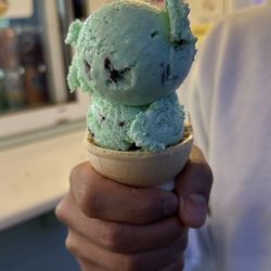 Carousel Ice Cream - Mint chocolate chip