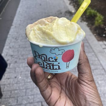 Dolci Gelati - Half rum raisin and half dolce de leche - Gelato Near Me - Washington, DC, District of Columbia Dolci Gelati - Half rum raisin and half dolce de leche - Gelato Near Me - Washington, DC, District of Columbia