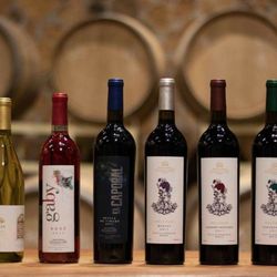 Hacienda Guadalupe Vinícola - Our wines.