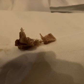 Bateau - Band aid in the bread pudding - Steakhouses Near Me - Seattle, Washington Bateau - Band aid in the bread pudding - Steakhouses Near Me - Seattle, Washington