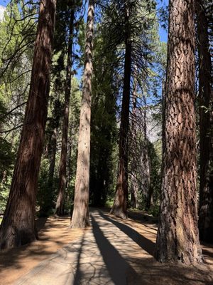Lower Yosemite Falls Trailhead by null