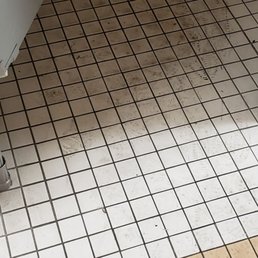 Water/Pee?? All over floor
