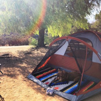 CANIS - Behavior and Training - Pet Training Near Me - Tarzana, California CANIS - Behavior and Training - Pet Training Near Me - Tarzana, California