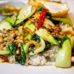 Royal YUM - Bok Choy. Lunch special.