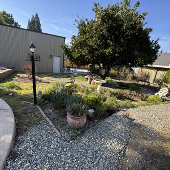 Total Landscape Concepts - Before - Irrigation Near Me Total Landscape Concepts - Before - Irrigation Near Me