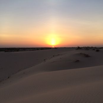 Monahans Sandhills State Park - Hiking Near Me - Monahans, Texas Monahans Sandhills State Park - Hiking Near Me - Monahans, Texas