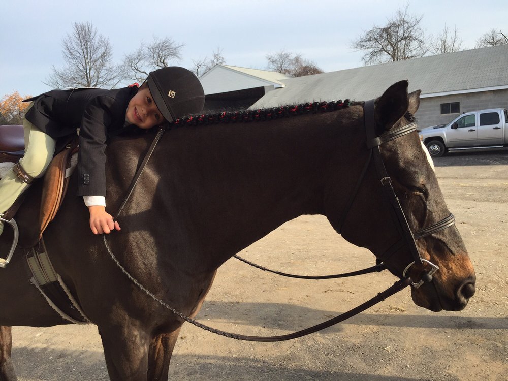 Touch of Luck Farm - equestrian in Norristown, PA