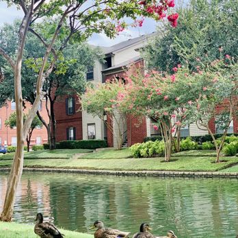 Camden Buckingham Apartments - Apartments Near Me - Richardson, Texas