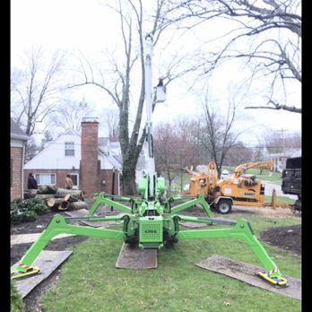 Richey Tree Service - Tree Services Near Me - Hamilton, Ohio Richey Tree Service - Tree Services Near Me - Hamilton, Ohio