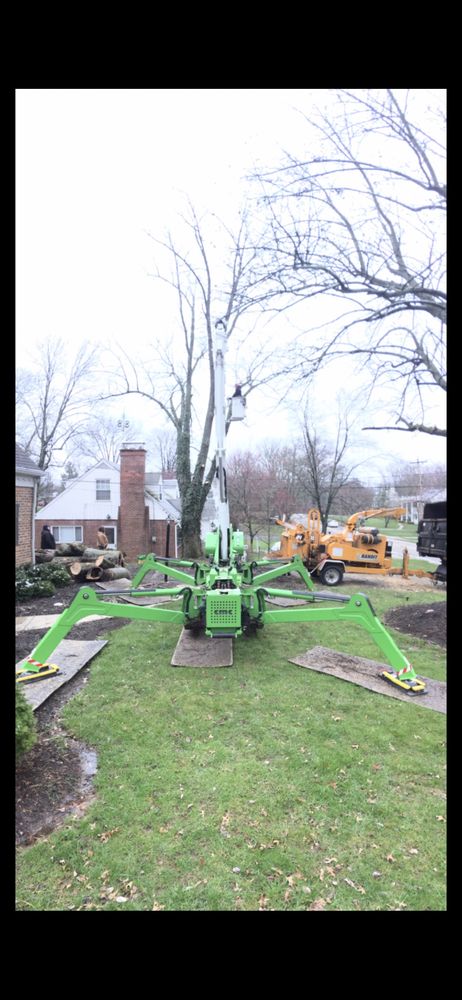 Richey Tree Service - tree service in Hamilton, OH