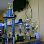 Barbecue Co. Grill & Catering
